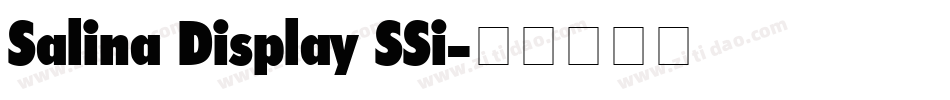 Salina Display SSi字体转换